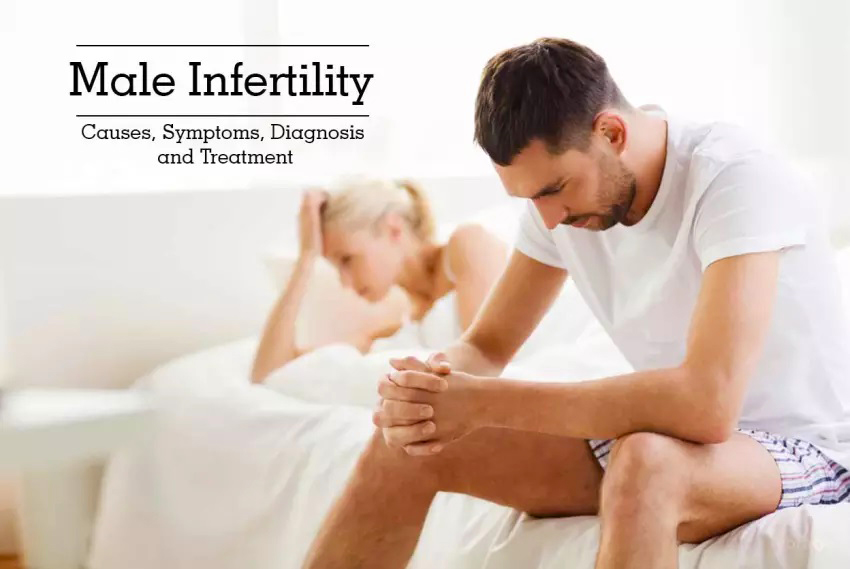 Male Infertility- Causes, Symptoms, Diagnosis & Treatment: Get Infertility Treatment from Dr.Jasmine Kaur Dahyia-IVF, Infertility & Test Tube Baby Specialist