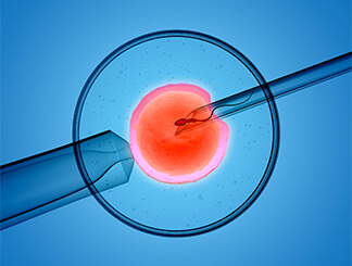 Assisted Hatching: Get Infertility Treatment from Dr.Jasmine Kaur Dahyia-IVF, Infertility & Test Tube Baby Specialist